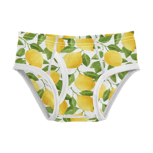 Boys' Exclusive Briefs Toddler Underwear 95% Combed Cotton Boxerbriefs 2T Lemon and Leaf Watercolor 27