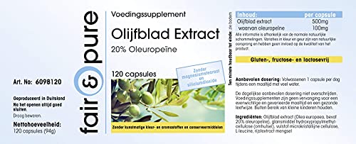 Extrait de feuille d'olivier standardisé à 20% d'oleuropéine - 7