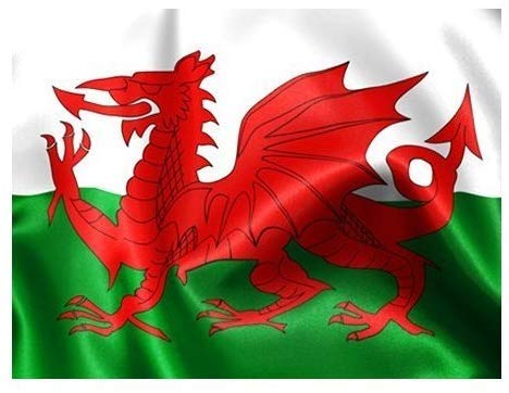 2 X 5Ft X 3Ft Wales Welsh Flag with Eyelets Red Dragon