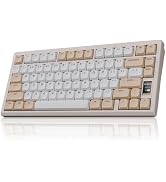 Amazon.com: OOCTPK Mechanical Keyboard, Chilkey ND75 LP Wireless
