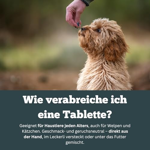 Smooth Locomotion - Gelenktabletten für Hunde bei Rücken- & Hinterhandproblemen, Arthrose & Aufstehschwierigkeiten – natürliche Unterstützung für Muskeln & Gelenke – 90 Tabletten - Sensipharm