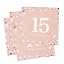 Number 15