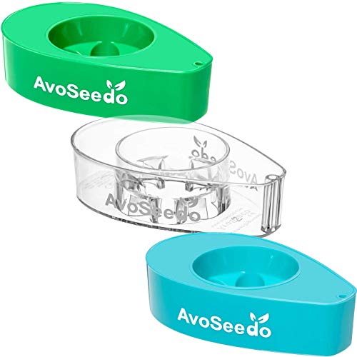 AvoSeedo Bowl Grow Your Own Avocado Tree, Evergreen, Perfect Avocado Tree Growing Kit for Every Avocado Lover - Green, Blue & Transparent