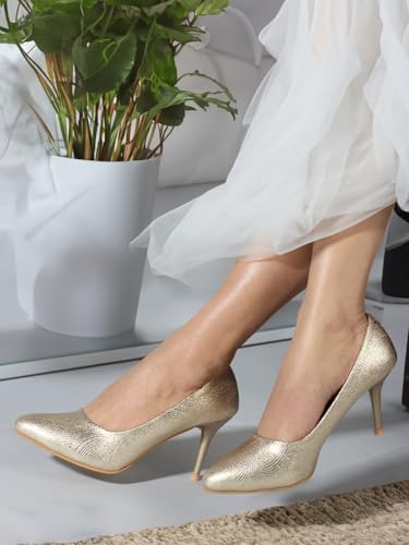 Image of Carlton London Women Stylish Slipon Pump Shoes with Stiletto Heels, Pointed Toe