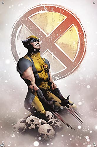 Póster de Wolverine Marvel Comics cartel de pared con chinchetas de Lobezno 4