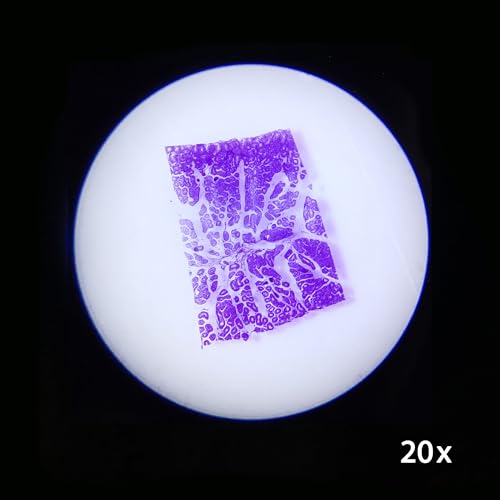 Image of Barska AY13116 20x, 50x Stereo Binocular Microscope with LED Illumination and Slides