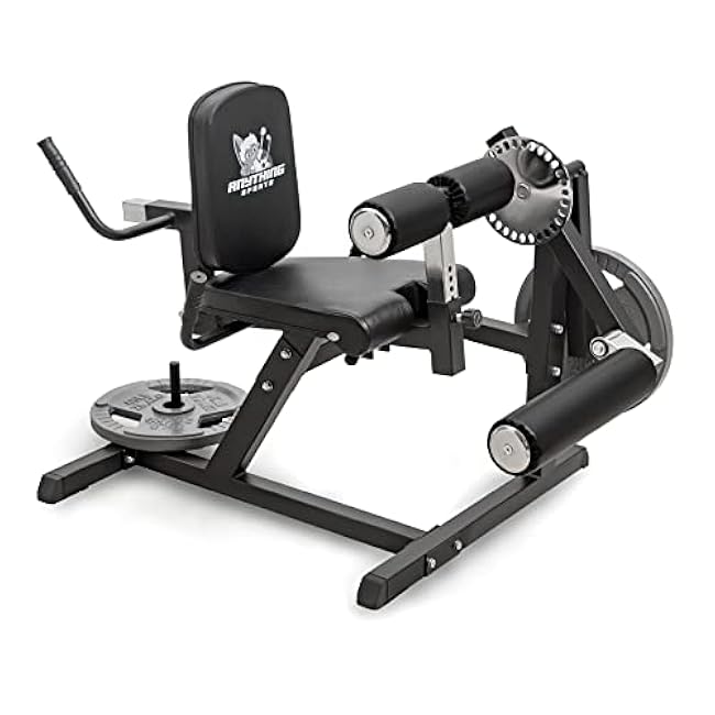Heavy Duty Adjustable Leg Extension and Curl Machine 2.0