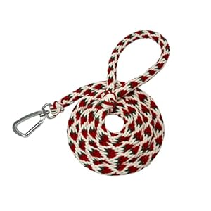 Handmade Braided Dog Leash, 2FT/3FT/4FT/5FT/6FT, Carrot/Strawberry/Grape Shape Design | Suitable for Medium to Large Dogs | Aluminum Clasp | High Strength and Durability (2FT, Strawberry)