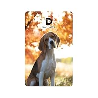 Amazon | DARTSLIVE CARD #057 ＜18＞ ダーツ カード | ダーツ 通販