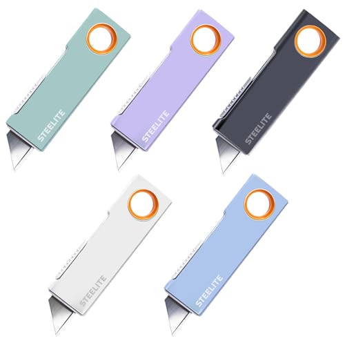 5PCS Mini Box Cutter Keychain Retractable Package Opener for Boxes Envelopes & Packages Cute Portable Box Opener for Office Home & Daily Use