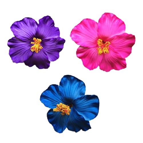 3̃nCrXJXwAANZT[̃Zbgr[`̂߂̈Sȃz[h/_炩nCAoP[VNbv