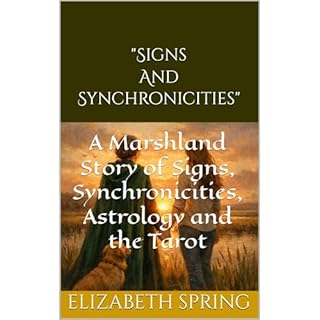 "Signs and Synchronicities" Audiolibro Por Elizabeth Spring arte de portada