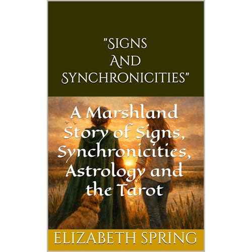 "Signs and Synchronicities" Audiolibro Por Elizabeth Spring arte de portada