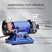 SainSmart Mini Bench Grinder and Polisher, 3-inch Table Grinder with Variable Speed, Jewelry Polisher Bench Buffer Machine for Polishing, Buffing, and Jewelry Making, 100 Accessories, 0-11000 RPM