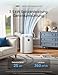 DREO 12000 BTU Mobiles Klimagerät (3-in-1 Kühlen/Ventilieren/Entfeuch... leise für Schlafzimmer/Büro, Steuerung per App/Sprachbefehl/Fernbedien... drainagefrei, Fenster-Set, 3,2 L/h, AC516S
