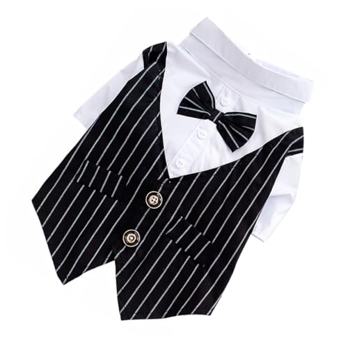 Toyvian �y�b�g�E�F�f�B���O�X�[�c ���p�^�L�V�[�h �a�m���t�H�[�}���E�F�A ������ �a���� �ʐ^�B�e���� �������f�މ��K�Ȓ��S�n