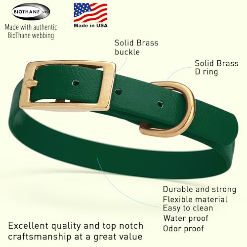 Image of Viper Biothane Heavy Duty Waterproof Dog Collar Strong Coated Nylon Webbing w /Solid Brass Hardware Odor-Proof Easy to Clean High Performance Fits Small Medium or Large Dogs, Hunter Green