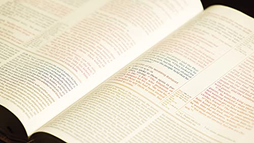 Niv, the Grace and Truth Study Bible (Trustworthy and Practical Insights), Leathersoft, Brown, Red L