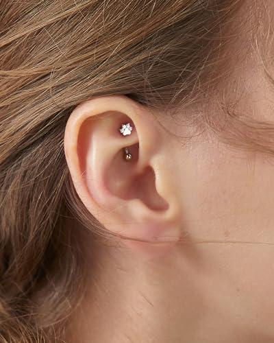 COCHARM Cute G23 Titanium Paw Print Rook Earrings for Women Men-6mm, 8mm 16g Rook Piercing Jewelry Puppy Surgical Steel Eyebrow Rings Internally Threaded Dainty Eyebrow Barbells2