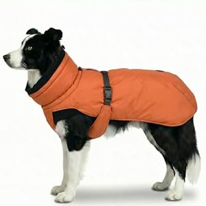 Dog Winter Coat, Warm Puffer Jacket with Fur-Safe Buckle & Leash Hole for Cold Weather, Water-Repellent Snow Vest, Breathable Thermal Apparel for Hiking & Active Dogs (Aurantium, Large)