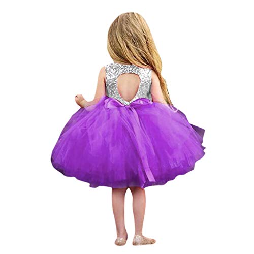 Toddler Baby Girls Clothes Long Sleeve Polka Dot Multilayer Tulle Tutu Dress Party Birthday Dress Fall Outfits Purple