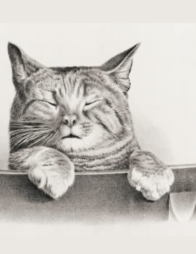 Cats by Thomas Hunter. Vintage Wide Ruled Composition Notebook:Large (8.5 x 11 inches) - 120 Pages For Homework, Diaries, Holidays Gifts For Adults, ... For Children: Vintage Composition Notebook