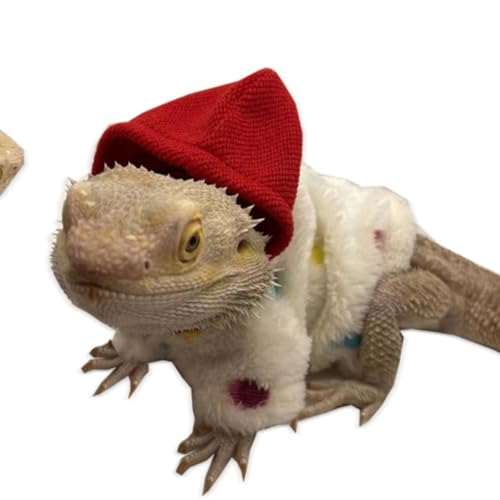Roupas de lagarto para dragões barbudos feito à mão material de tecido com capuz suéter casaco répti