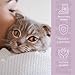 alphazoo Bye Bye Vloh Spot-On für Katzen 100ml – natürlicher Schutz gegen Flöhe mit Lavendel, Geraniol & Zitronen-Eukalyptus. Sanfte, alkoholfreie Pflege für Haut & Fell. Hautfreundlich & ohne Zusätze