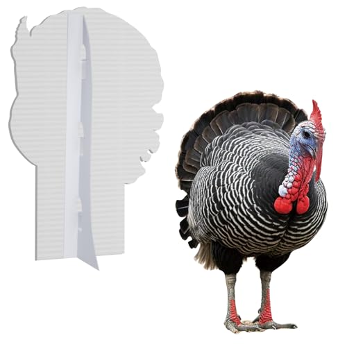 Image of Turkey Life Size Cardboard Cutout, 1FT Animal Standup, 1 PC | Turkey Cardboard Cutout Standup for Events, Party Decor, Birthday Photos, Thanksgiving, Halloween, and Holiday Party