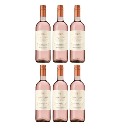 Cielo - Pinot Grigio Rosé DOC "I Castelli Romeo e Giulietta" Pinot Grigio Roséwein Italien rosé trocken inkl. FeinWert E-Book (6 x 0,75l)