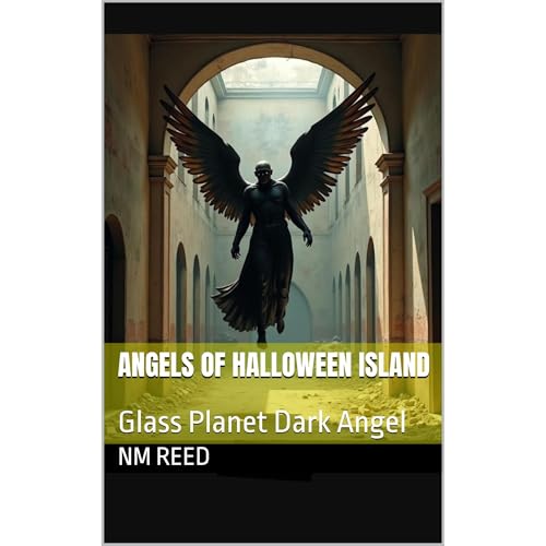 Angels of Halloween Island Audiolibro Por NM Reed arte de portada