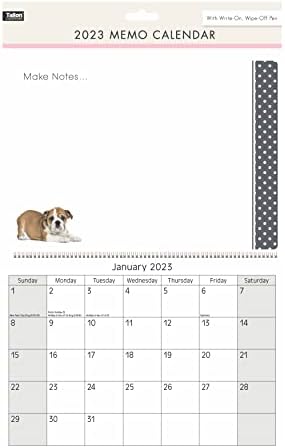 2023 Hanging Wiro Memo Board Wall Calendar Family Organiser With Pen - Cat (Design No. 1)