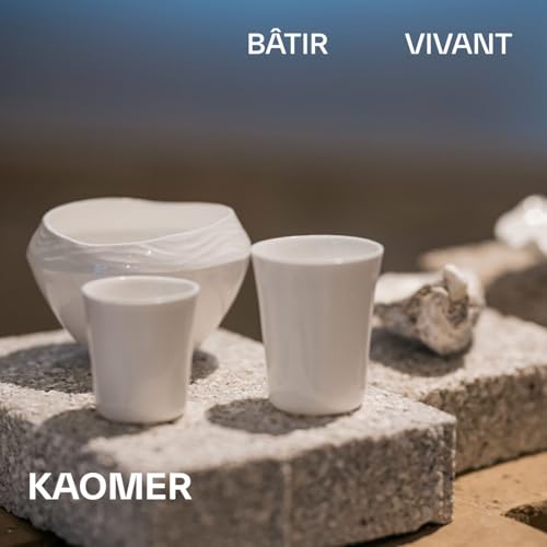#50 - Kaomer - Une porcelaine sans terre &agrave; partir de coquilles d&rsquo;hu&icirc;tres
