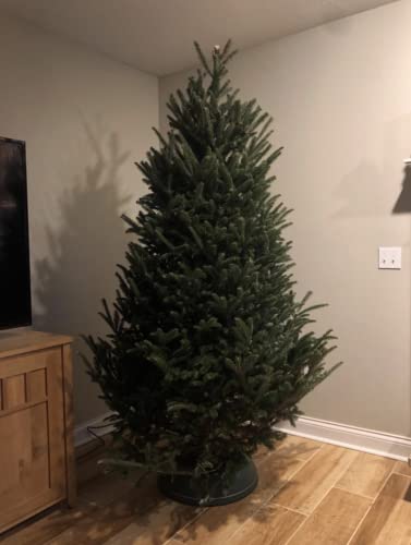 Rocky Mountain Goods Christmas Tree Stand For Live Tree With Water - Up To 8 Foot Tree - 5 Secure Eye Bolts - Steel Spike For Stability - Easy Watering For 2 Gallons - Install Real Tree In Minutes #TOP6