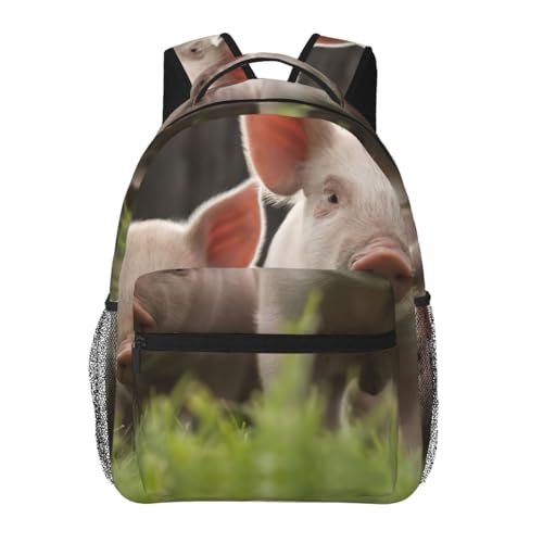Mochila de senderismo EdWal fácil de limpiar: la solución impermeable para tu laptop