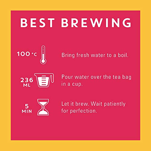 Tazo Passion Enveloped Hot Tea Bags Herbal, Caffeine Free, Non Gmo, 20 Count (Pack Of 6) #TOP5