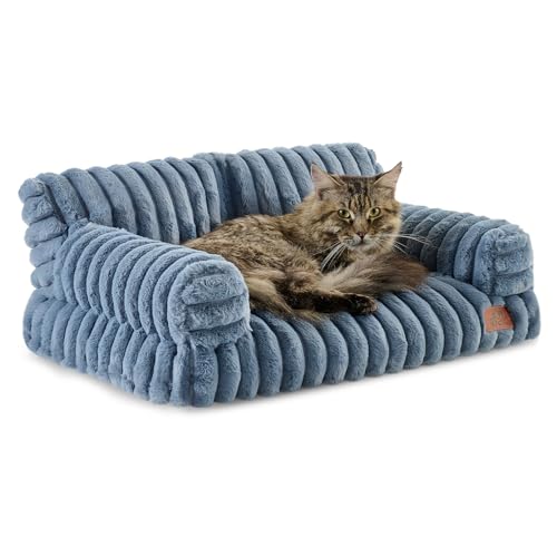 Hollypet ӂӂ ʂ ybg L JE` \tg  ybg \t@xbh ~fBA ^ L p wCYu[