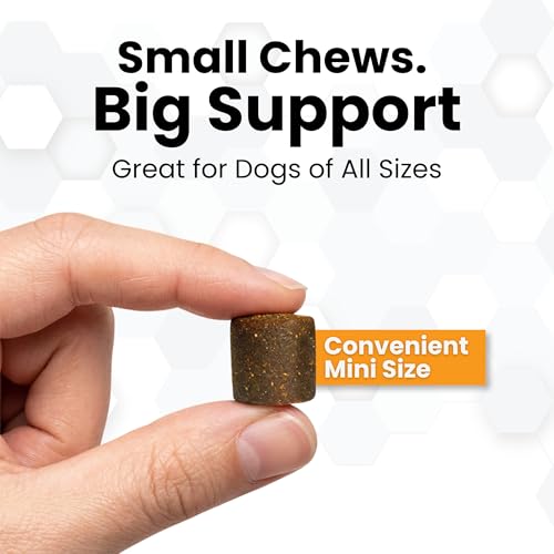 Image of Progility Hip & Joint Supplement for Dogs - Daily Joint Support with Glucosamine, MSM, Chondroitin & Hyaluronic Acid, Soft Chews Value Pack (250 Count)