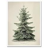 Photo Gallery huabsad stampa artistica da parete vintage con albero di natale in stile retrò invernale e botanico, stampa neutra per la stanza d inverno, decorazione da parete, poster su tela, decorazione da Photo Gallery huabsad stampa artistica da parete vintage con albero di natale in stile retrò invernale e botanico, stampa neutra per la stanza d inverno, decorazione da parete, poster su tela, decorazione da