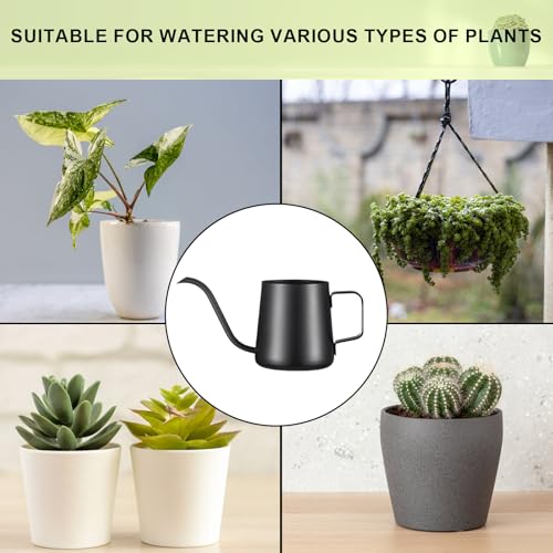 Lizhluzh Watering Can Indoor Plants, Indoor Watering Can 12 oz / 350 ml, Small Watering Can with Long Spout, Stainless Steel Plant Watering Can (Black) - Thumbnail 3