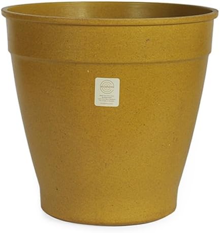 Pot noba 12 Harvest