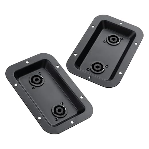 PNGKNYOCN Lautsprecher-Anschlussdose, 2-fach NL4FC 4-polige Speakon-Buchsenplatte für Bühnenlautsprecher, Auto-/Heim-Audio-DIY (2er-Pack)
