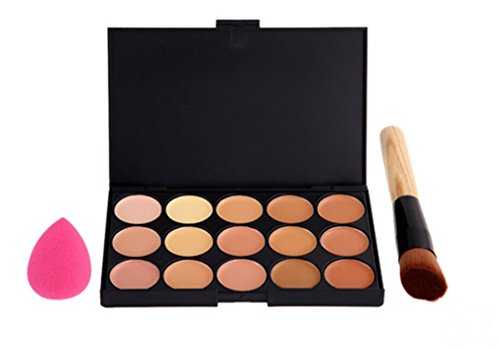 Pure Vie® Pro 1 Pcs Make Up Brushes + 1 Sponge Puff + 15 Colors Cream Concealer Camouflage Makeup Palette Contouring Kit for Salon and Daily Use