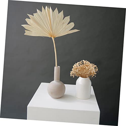 Ramo Mini Flores Secas Babysbreath x10 Pack miniatura 4