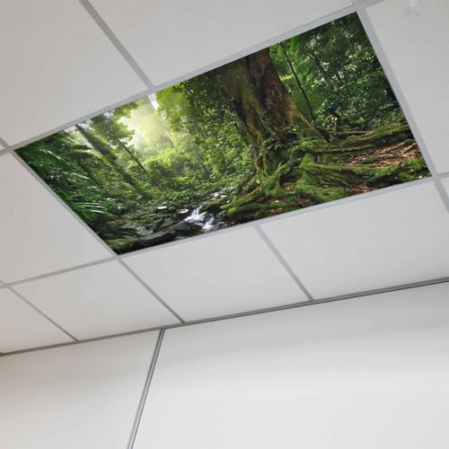 Zefadutok Forest Fluorescent Light Covers Landscapes Tree Streams Magnetic Light Filters Ceiling Lighting Panel Shade for Classroom Office Home 2 x 4 ft, 1 Pack