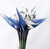 DODXIAOBEUL Large Bird of Paradise 32 Inch Permanent Flower,UV Resistant No Fade Flower Part is Made of Soft Rubber PU,Artificial Flower Plants for Home Office 2 Pcs (Blue)