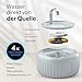 PrettyPaw Katzenbrunnen - Super leiser, BPA-freier 3L Trinkbrunnen für Katze mit LED und Aktivkohlefilter - Leicht zu reinigender Katzen Trinkbrunnen - Aqua Flow (Grau)
