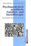 Psychoanalytisch orientierte Familien- und Sozialtherapie. Das Gießener Konzept in der Praxis: Das Giessener Konzept in der Praxis (edition psychosozial) - Herausgeber: Peter Möhring, Terje Neraal 