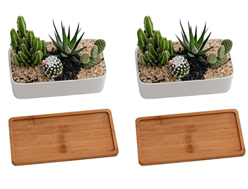 Sjbag Succulent Pots,Rectangle White Ceramic Flower Planter With Bamboo Tray,Pack Of 2 - Plants Not Included (6.5 Inch) #TOP2