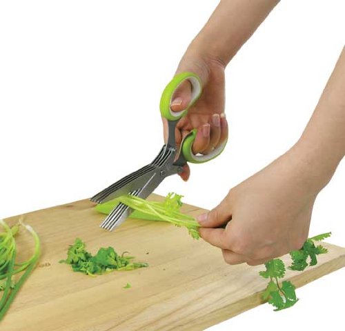 Newlineny Heavy Duty Stainless Steel 10-Blade Gourmet Herb Scissors With Blades Guard Cover Cleaner #TOP2
